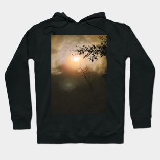 Moonlight - Clouds - Night - Trees Hoodie